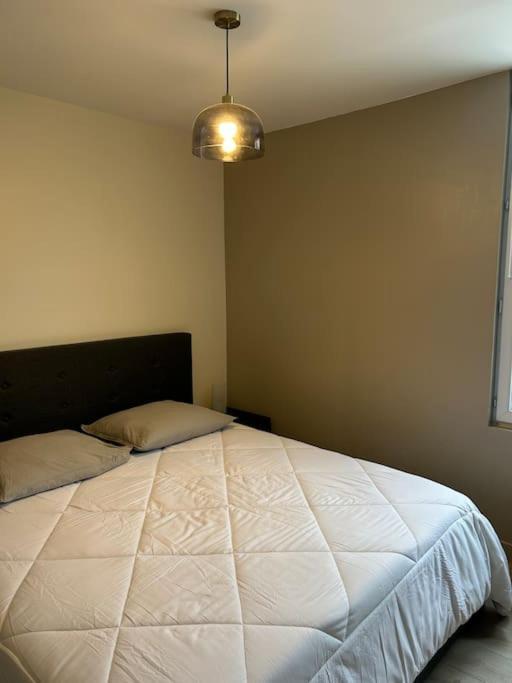 Grand Appartement De Standing 圣迪济耶 外观 照片